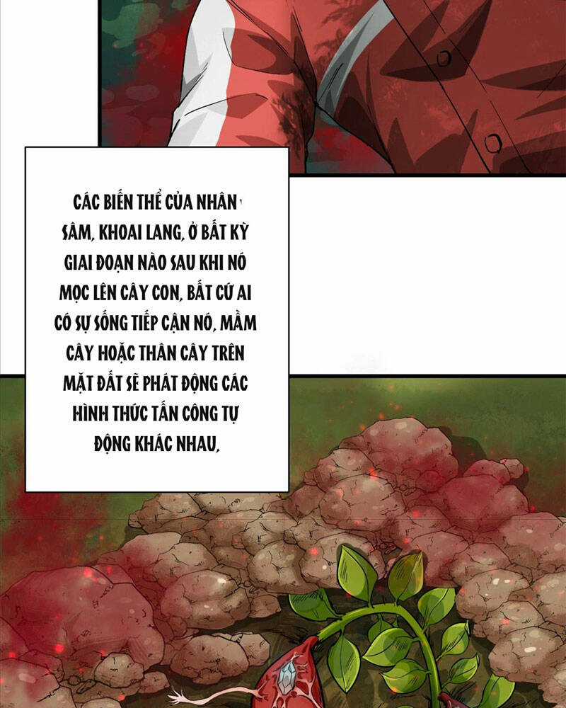 Luân Bàn Thế Giới Chapter 131 trang 54