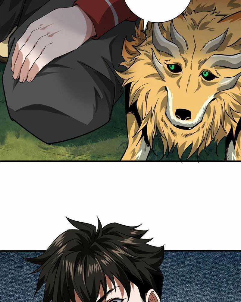 Luân Bàn Thế Giới Chapter 132 trang 37