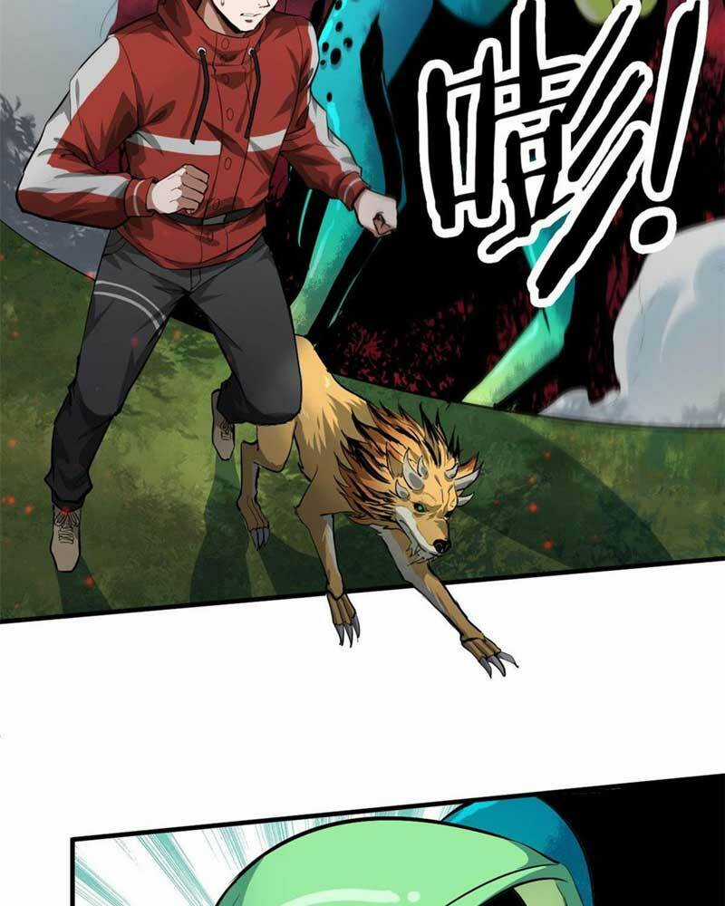 Luân Bàn Thế Giới Chapter 132 trang 41