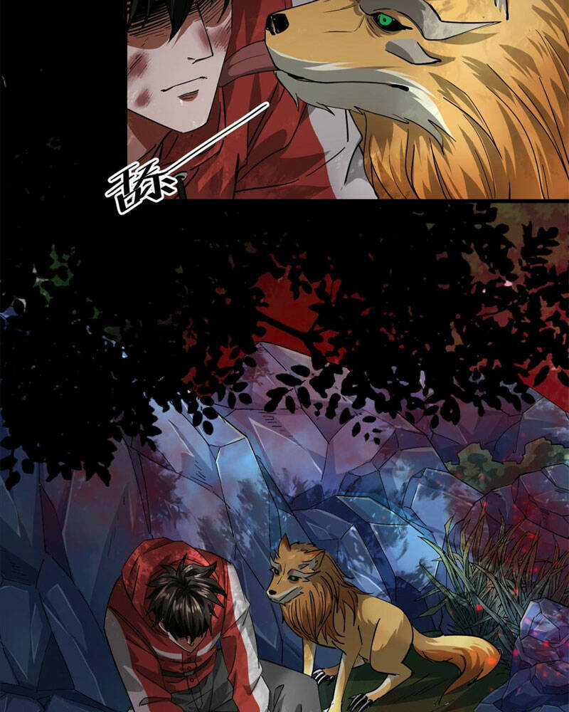 Luân Bàn Thế Giới Chapter 133 trang 57