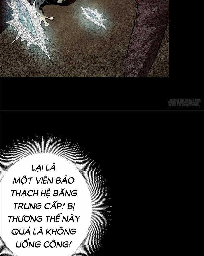 Luân Bàn Thế Giới Chapter 135 trang 11