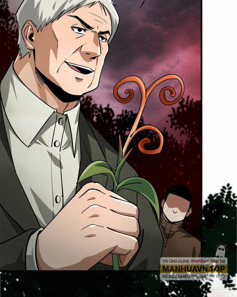 Luân Bàn Thế Giới Chapter 135 trang 33