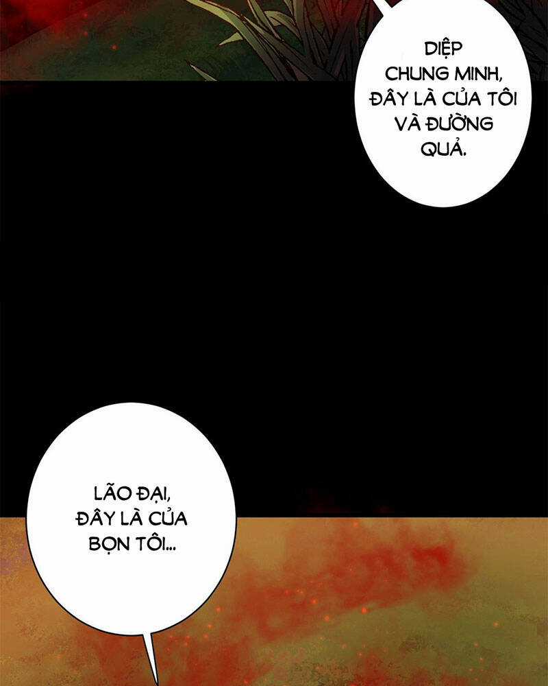 Luân Bàn Thế Giới Chapter 138 trang 52