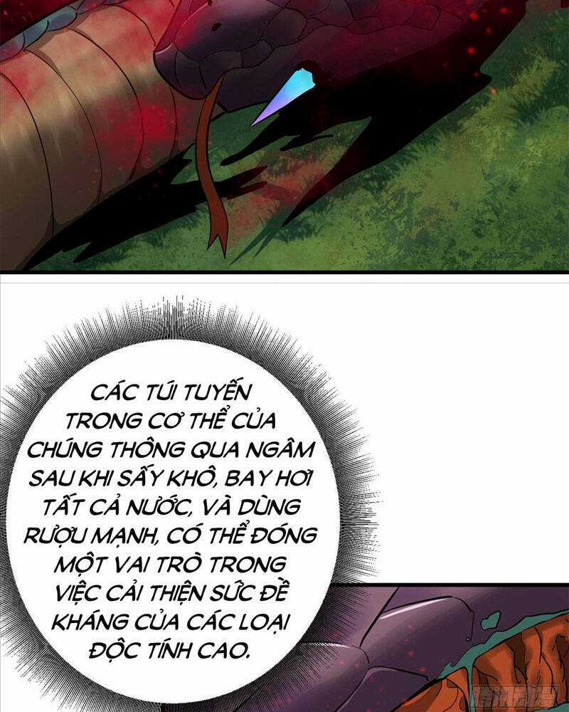 Luân Bàn Thế Giới Chapter 139 trang 49