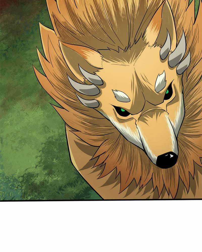 Luân Bàn Thế Giới Chapter 140 trang 6