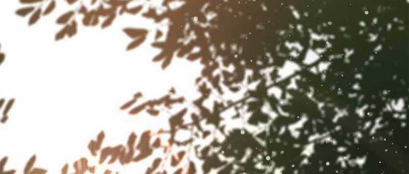 Luân Bàn Thế Giới Chapter 151 trang 57