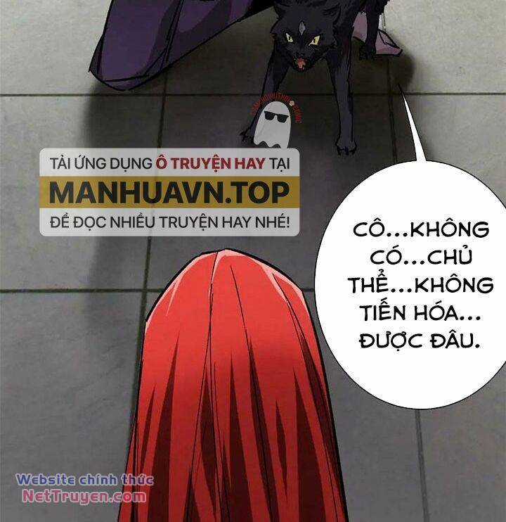 Luân Bàn Thế Giới Chapter 162 trang 18