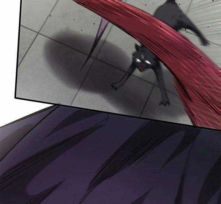 Luân Bàn Thế Giới Chapter 162 trang 28