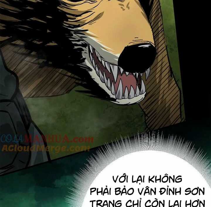 Luân Bàn Thế Giới Chapter 166 trang 13