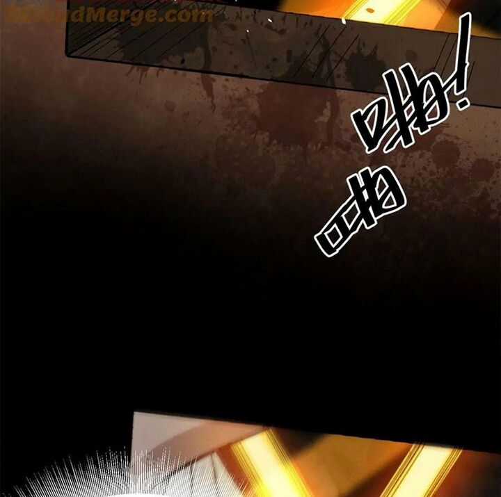 Luân Bàn Thế Giới Chapter 166 trang 66