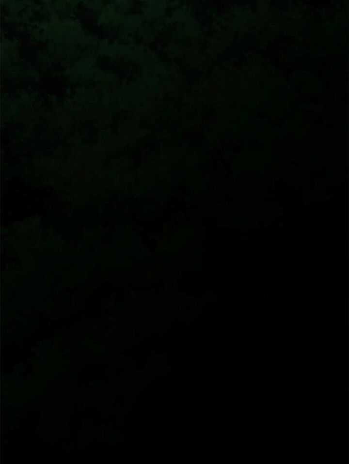 Luân Bàn Thế Giới Chapter 168 trang 74