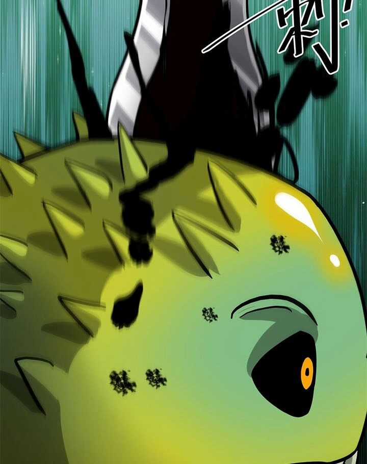 Luân Bàn Thế Giới Chapter 169 trang 17