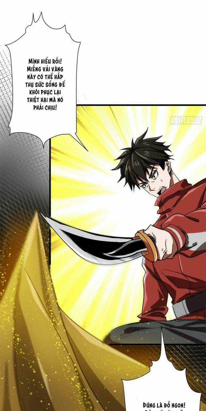 Luân Bàn Thế Giới Chapter 67 trang 29