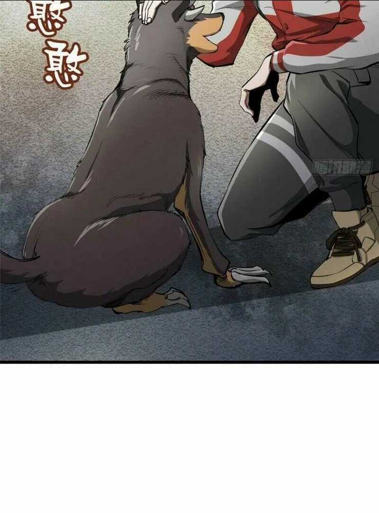 Luân Bàn Thế Giới Chapter 76 trang 5