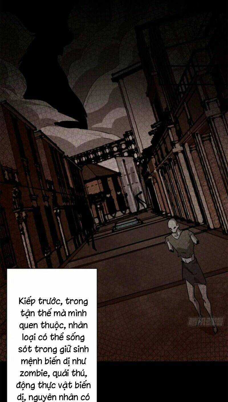 Luân Bàn Thế Giới Chapter 80 trang 4