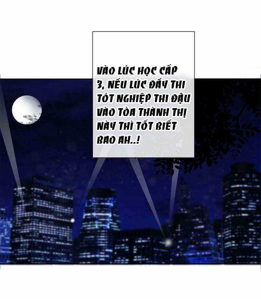 Luận Cách Yêu Của Chứng Sợ Phụ Nữ Chapter 29 trang 12