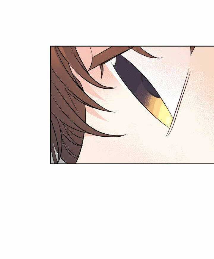 Luật Của Tiểu Thuyết Mạng Chapter 187.2 trang 15