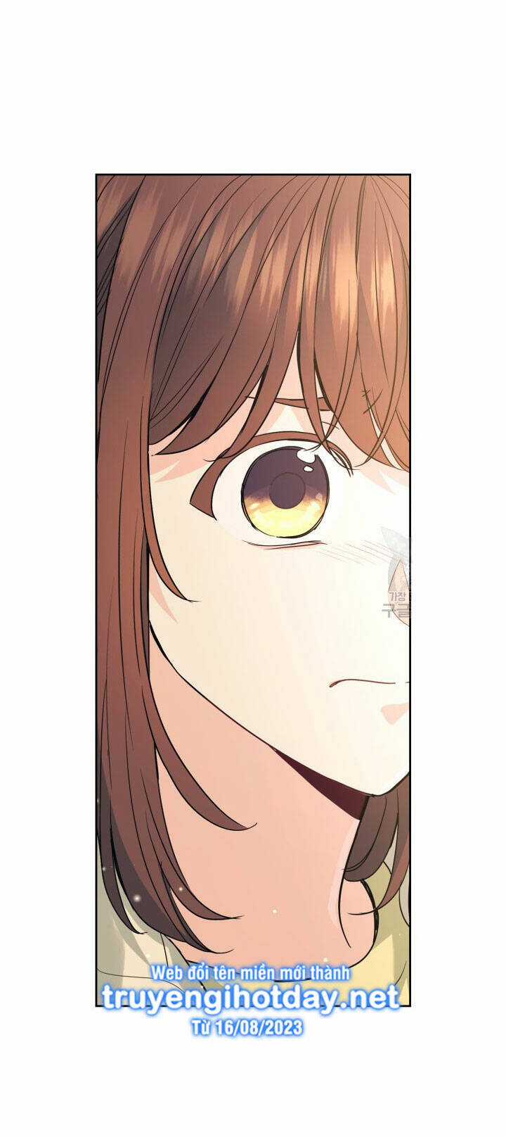 Luật Của Tiểu Thuyết Mạng Chapter 194.2 trang 17