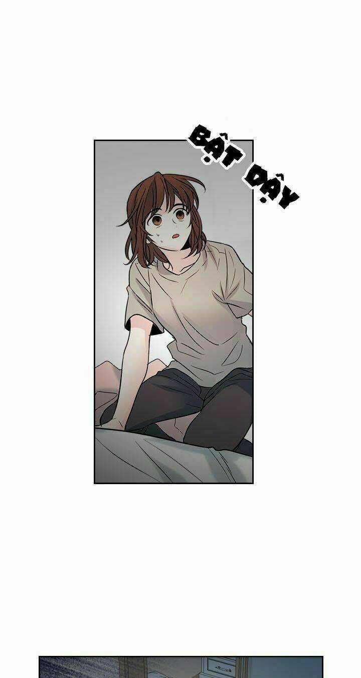 Luật Của Tiểu Thuyết Mạng Chapter 22 trang 40