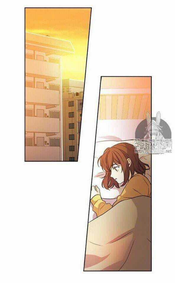 Luật Của Tiểu Thuyết Mạng Chapter 52 trang 1
