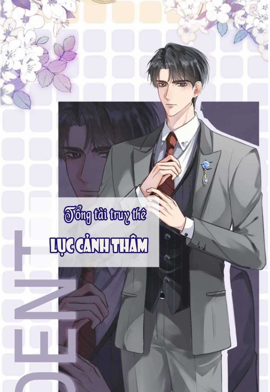 Lục Tổng Theo Đuổi Vợ Hậu Chia Tay Chapter 0 trang 1