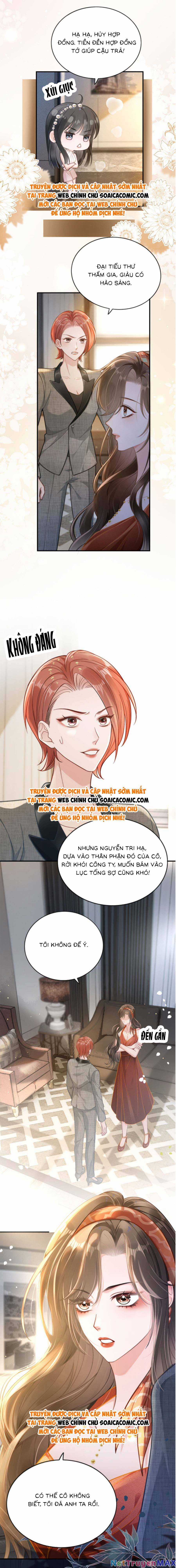 Lục Tổng Theo Đuổi Vợ Hậu Chia Tay Chapter 2 trang 4