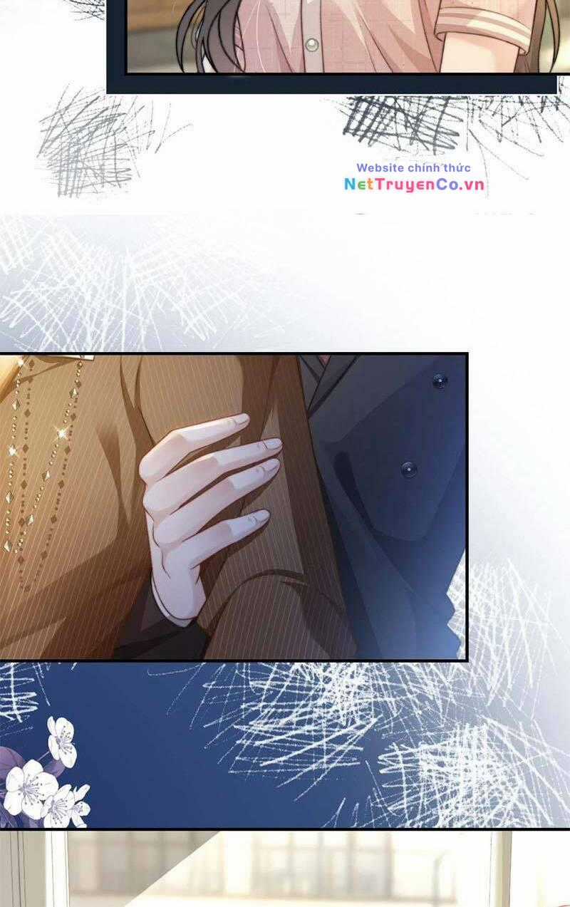 Lục Tổng Theo Đuổi Vợ Hậu Chia Tay Chapter 23 trang 19