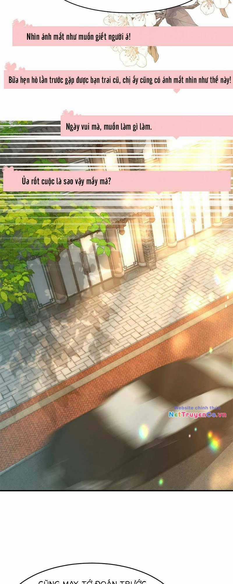 Lục Tổng Theo Đuổi Vợ Hậu Chia Tay Chapter 23 trang 21