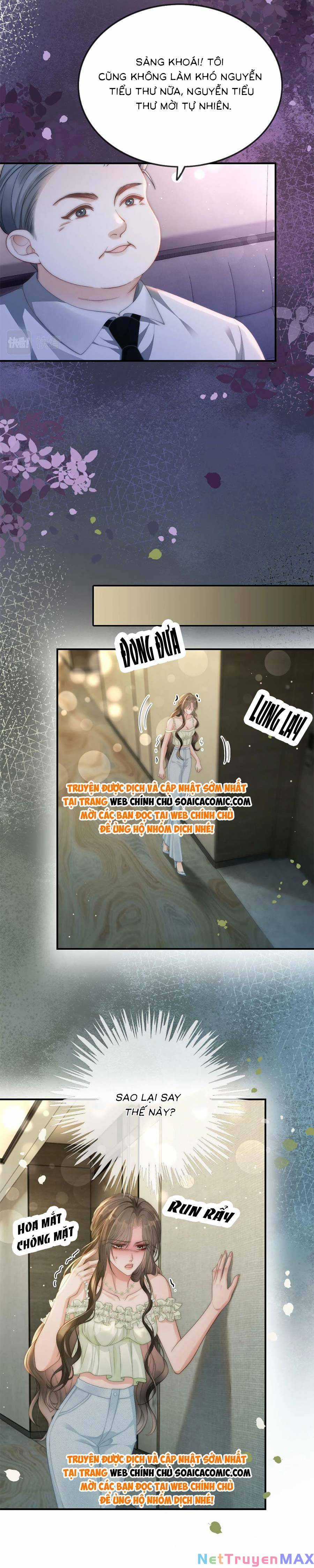 Lục Tổng Theo Đuổi Vợ Hậu Chia Tay Chapter 6 trang 5