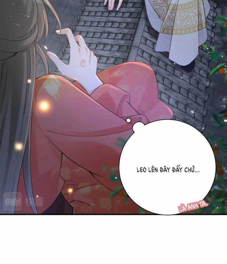 Lui Lui Lui Lui Ra! Chapter 103 trang 36