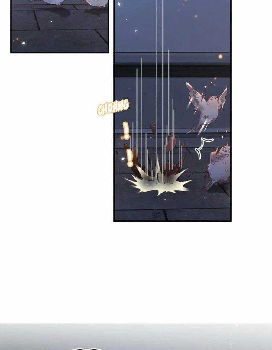 Lui Lui Lui Lui Ra! Chapter 104 trang 10