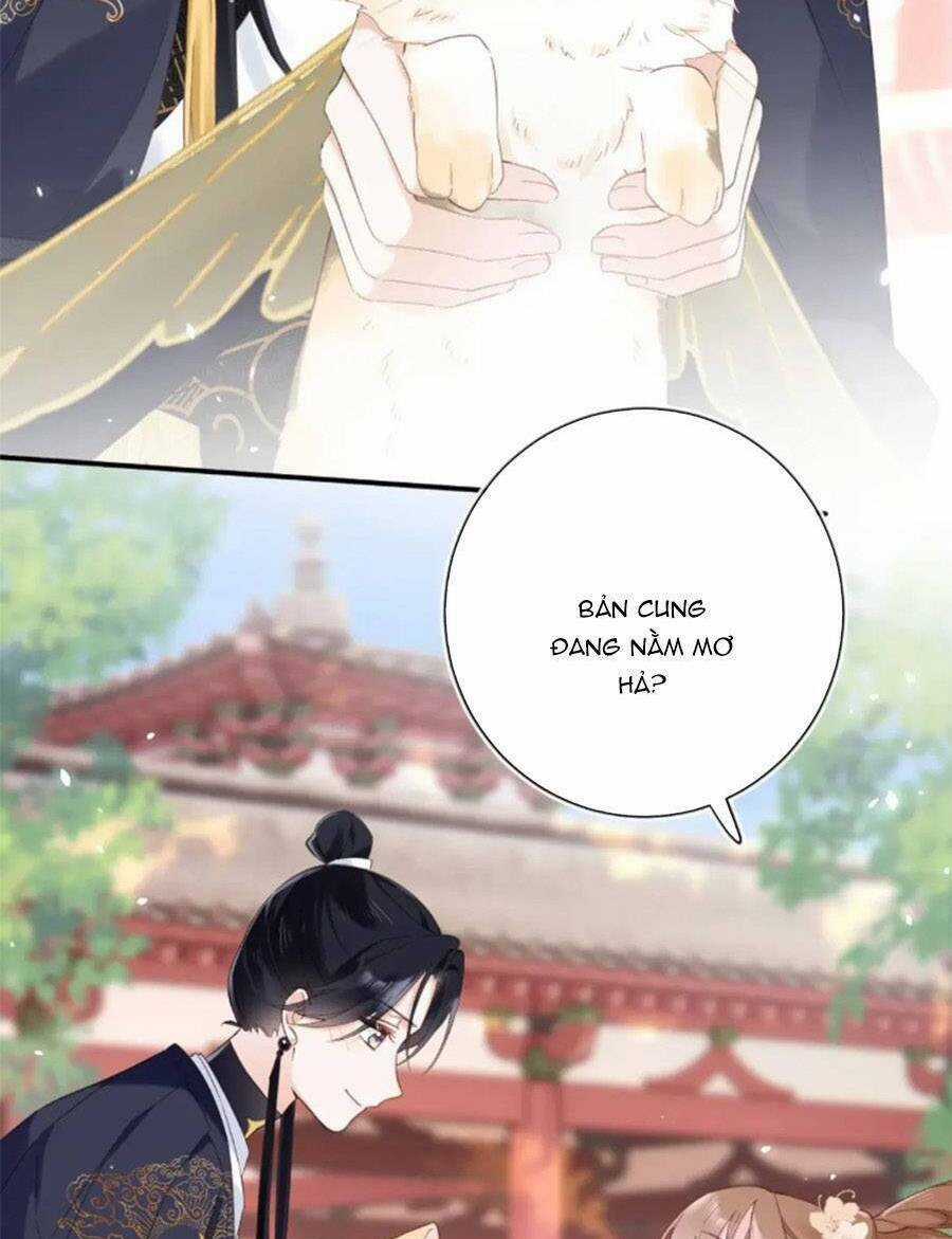 Lui Lui Lui Lui Ra! Chapter 107 trang 23