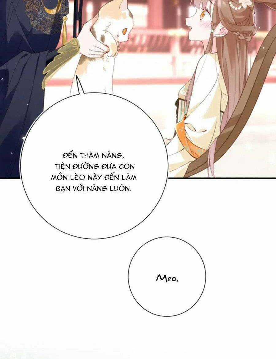 Lui Lui Lui Lui Ra! Chapter 107 trang 24