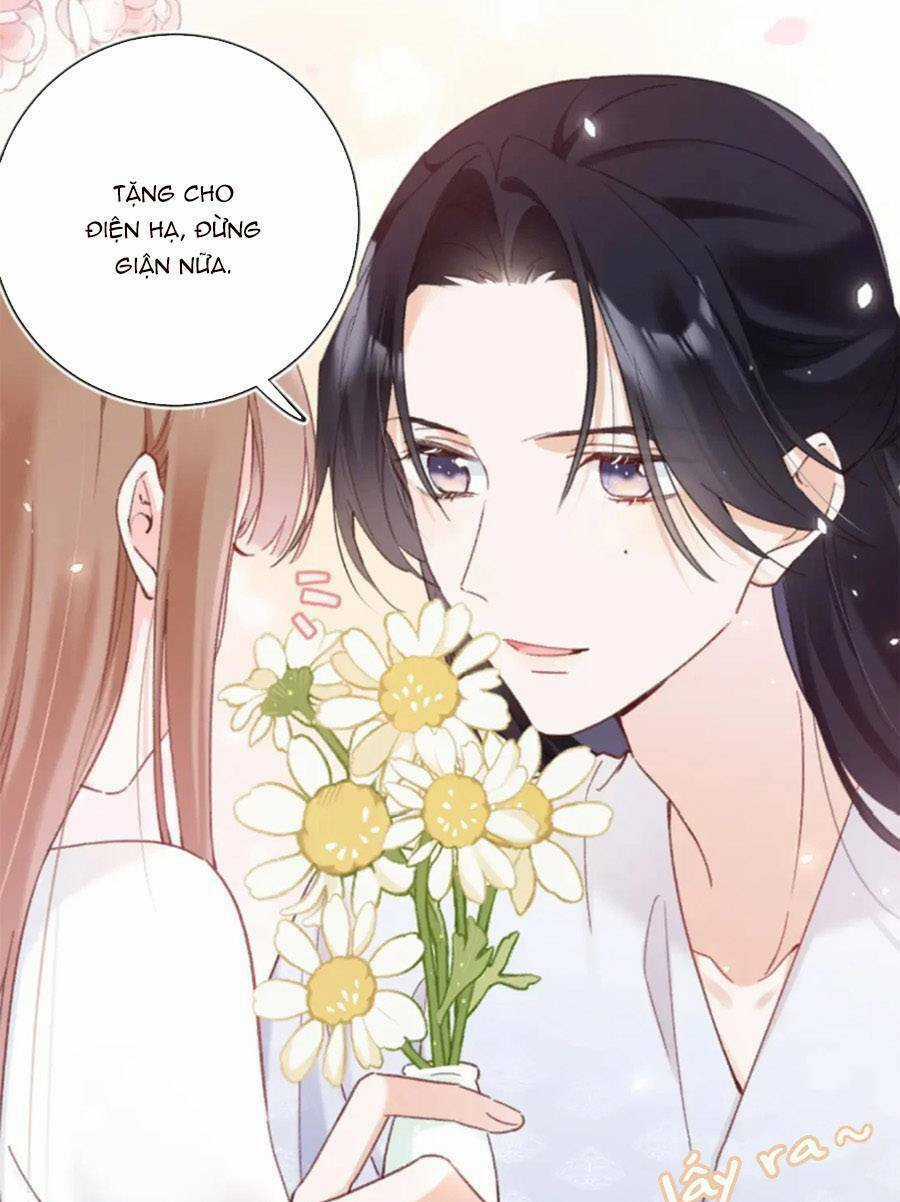 Lui Lui Lui Lui Ra! Chapter 109 trang 41