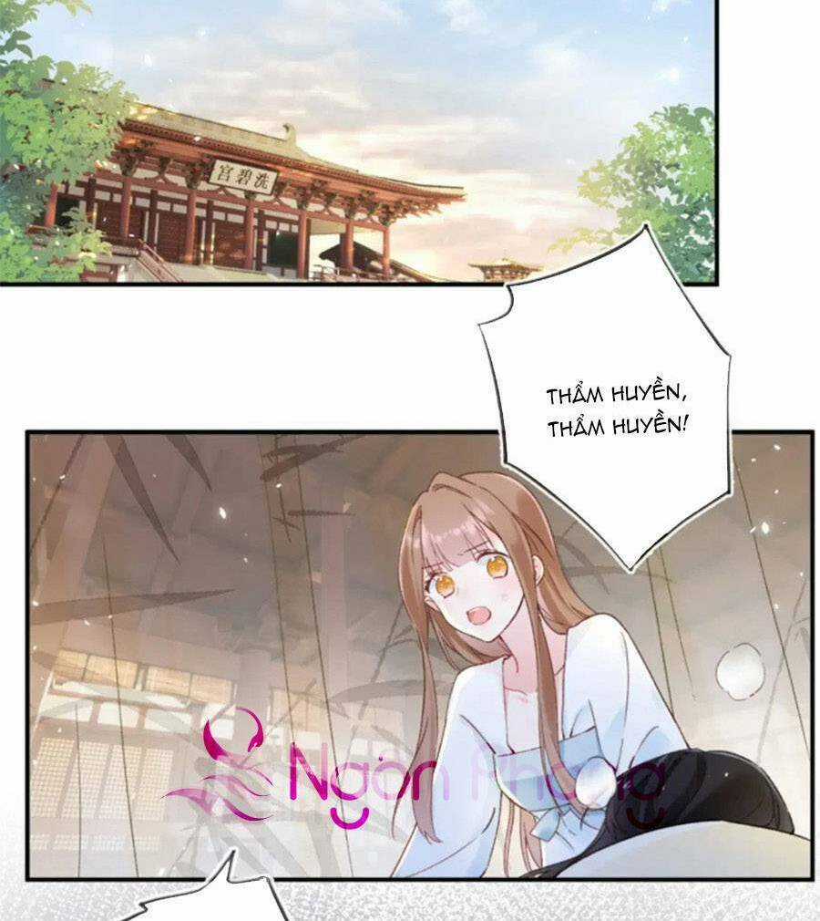Lui Lui Lui Lui Ra! Chapter 109 trang 50
