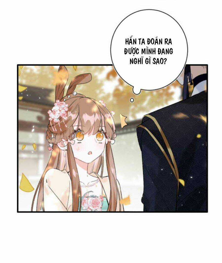 Lui Lui Lui Lui Ra! Chapter 14 trang 12