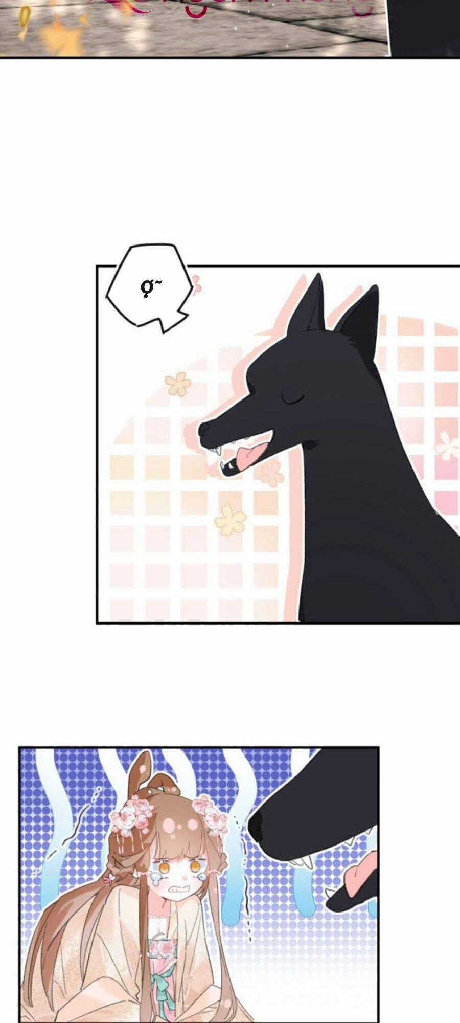 Lui Lui Lui Lui Ra! Chapter 19 trang 1