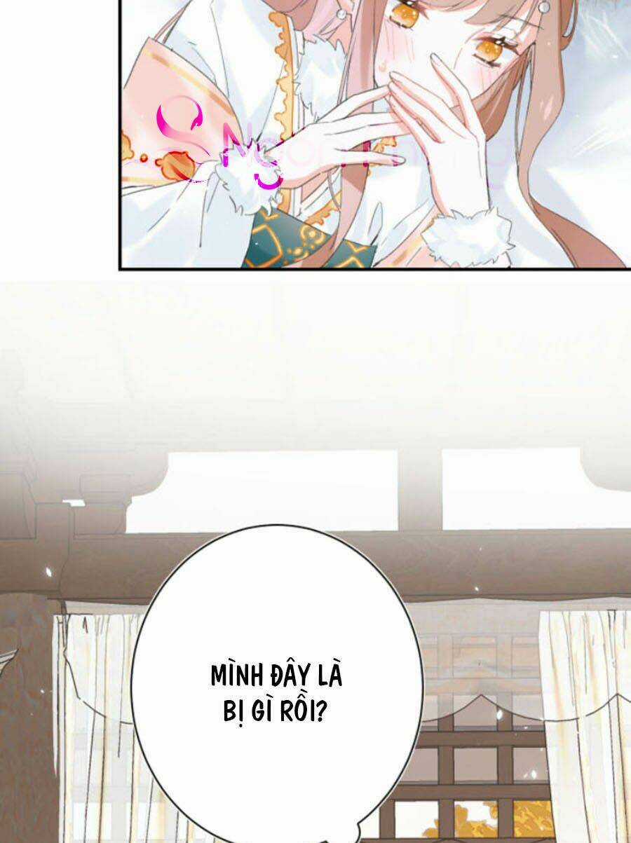 Lui Lui Lui Lui Ra! Chapter 26 trang 17