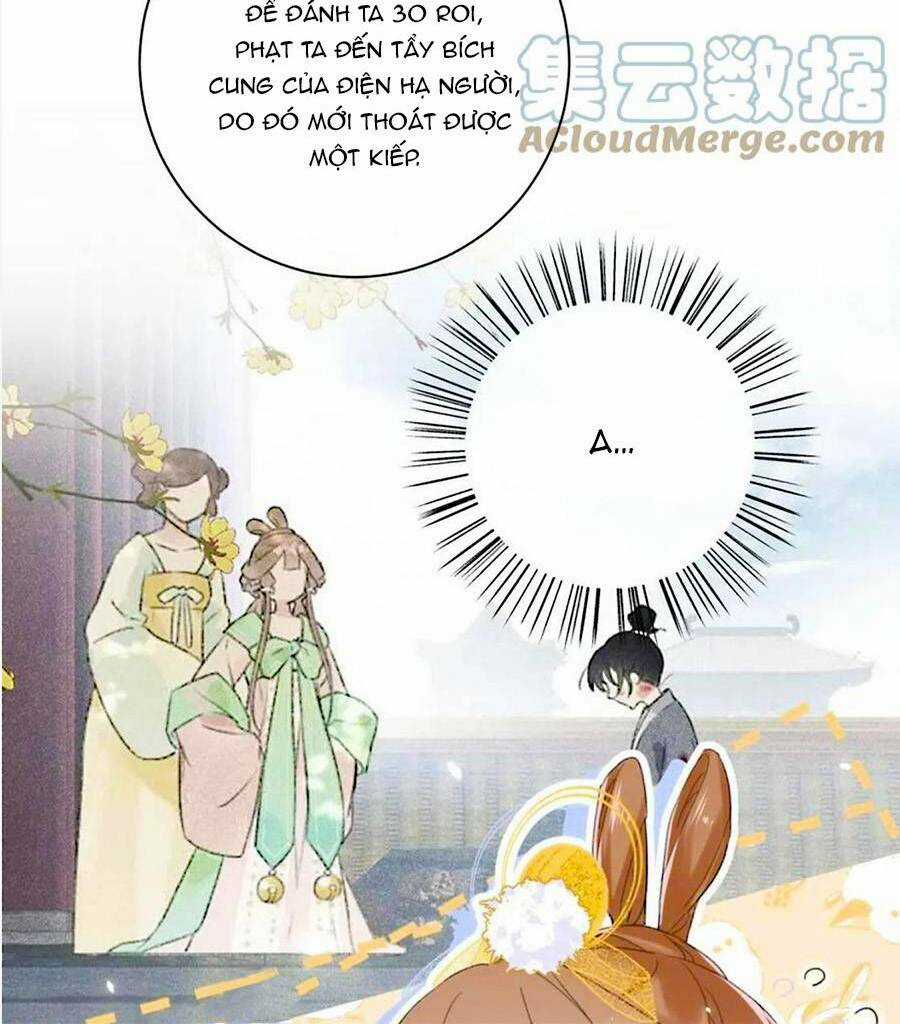 Lui Lui Lui Lui Ra! Chapter 71 trang 7