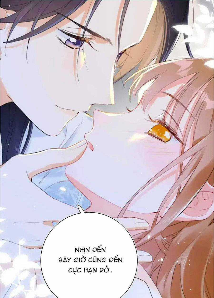 Lui Lui Lui Lui Ra! Chapter 73 trang 23