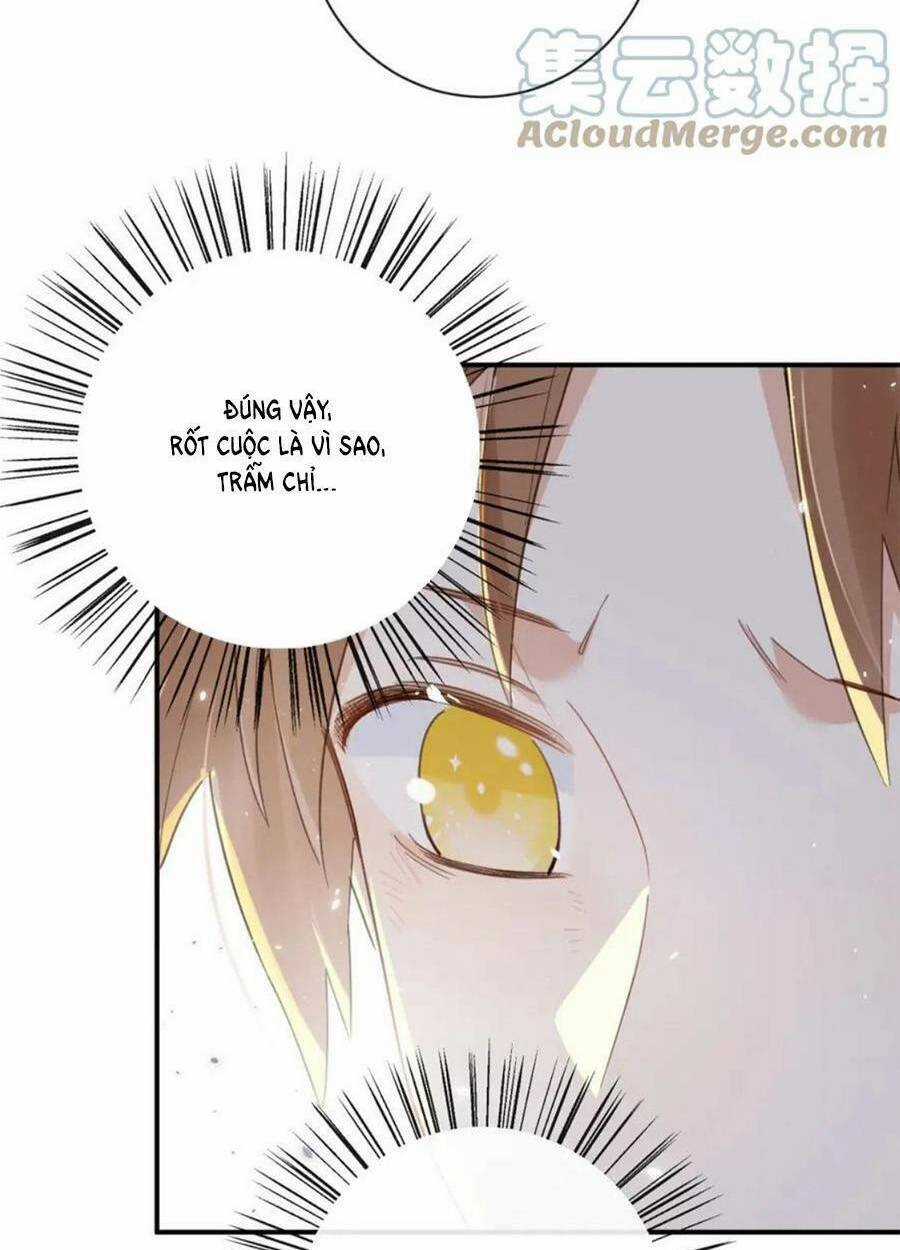 Lui Lui Lui Lui Ra! Chapter 86 trang 51