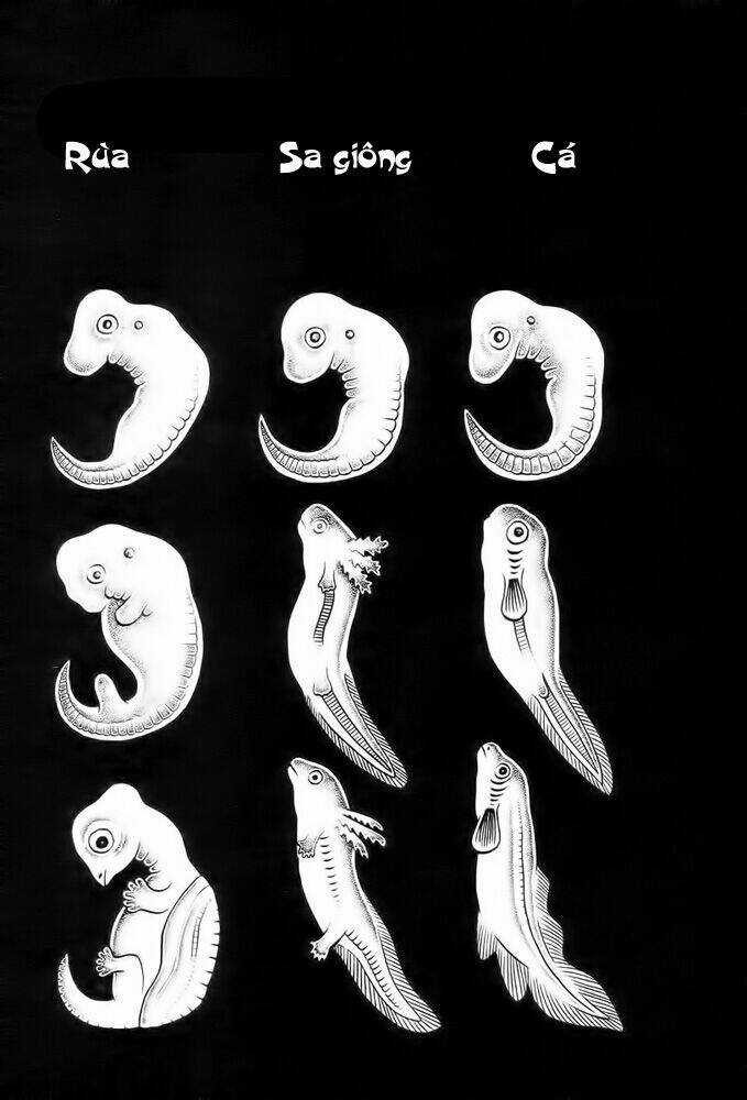 Lullabies From Hell Chapter 2 trang 13