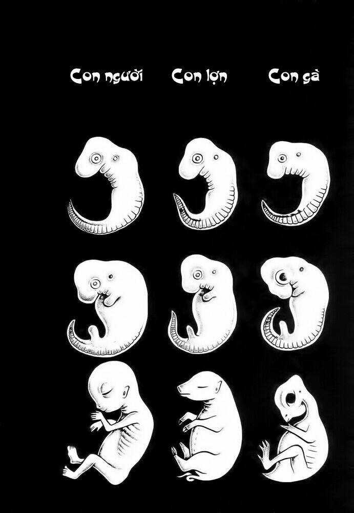 Lullabies From Hell Chapter 2 trang 14