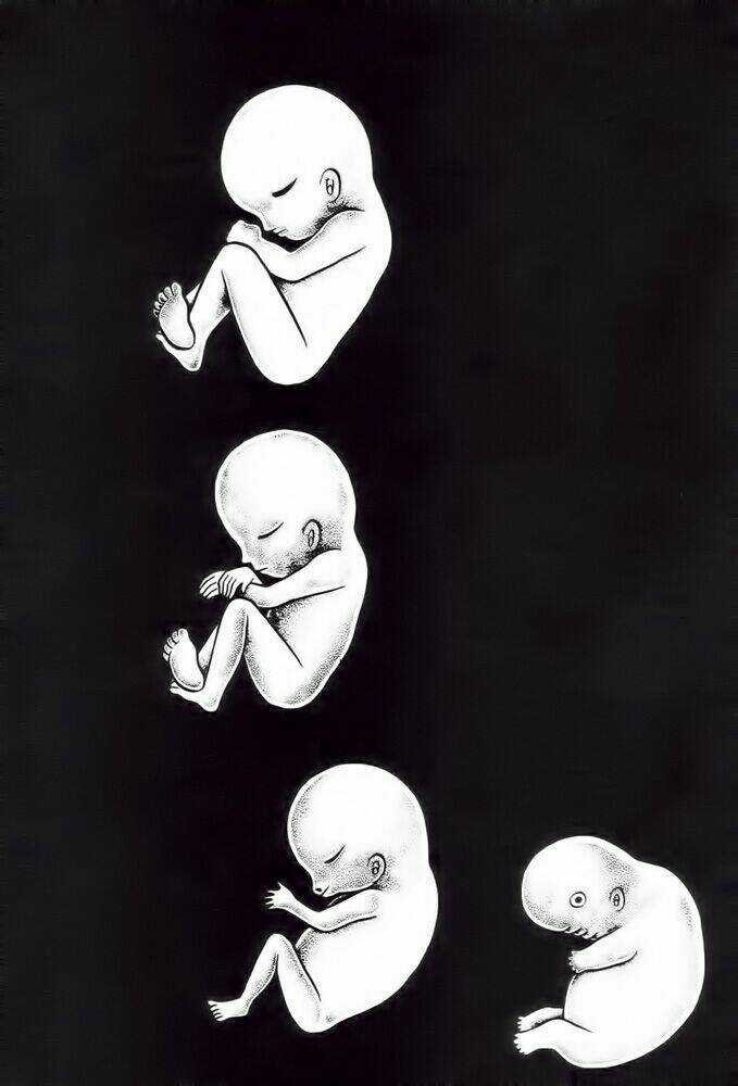 Lullabies From Hell Chapter 2 trang 3