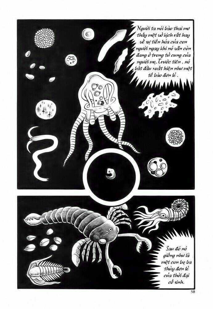 Lullabies From Hell Chapter 2 trang 4