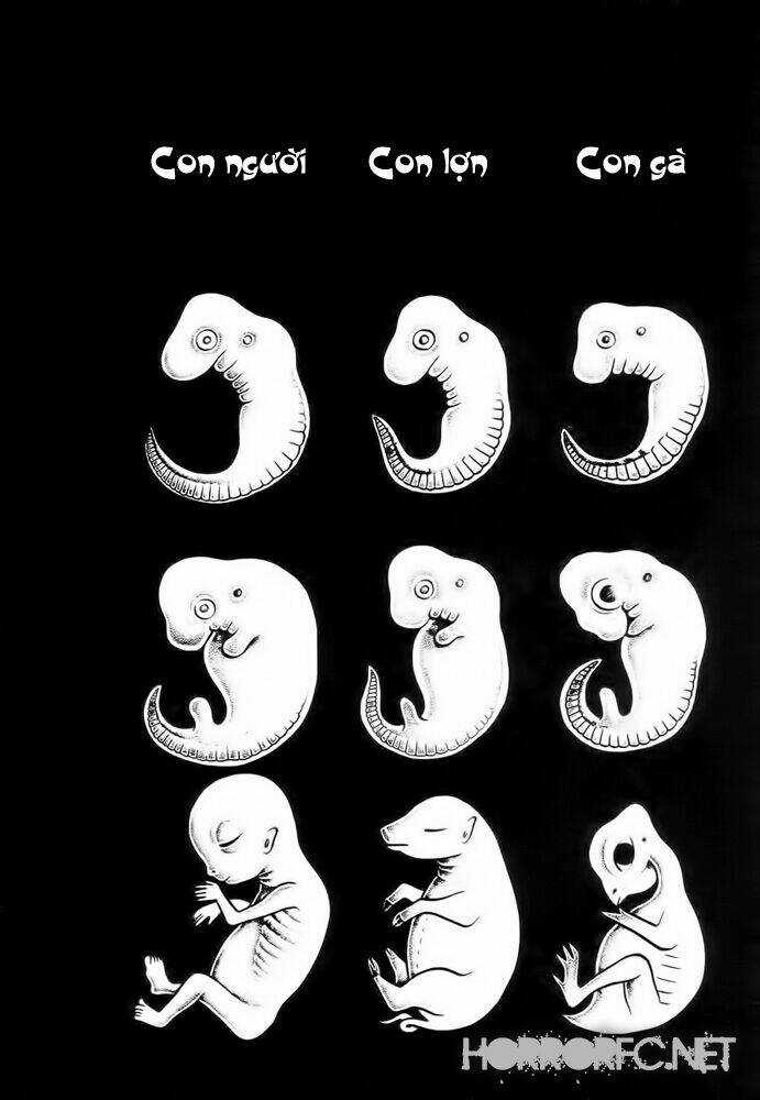 Lullbabies From Hell Chapter 2 trang 14