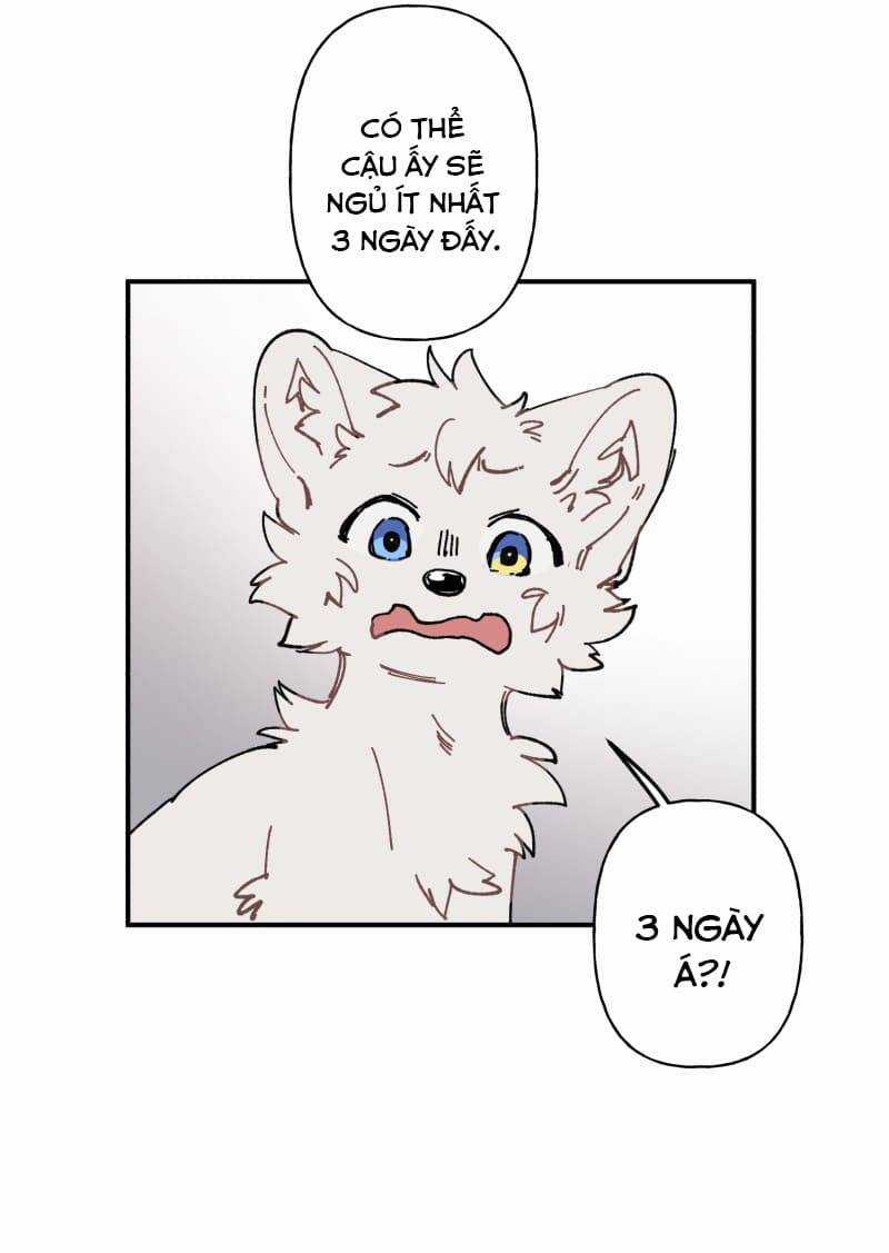 Lumine Chapter 105 trang 13