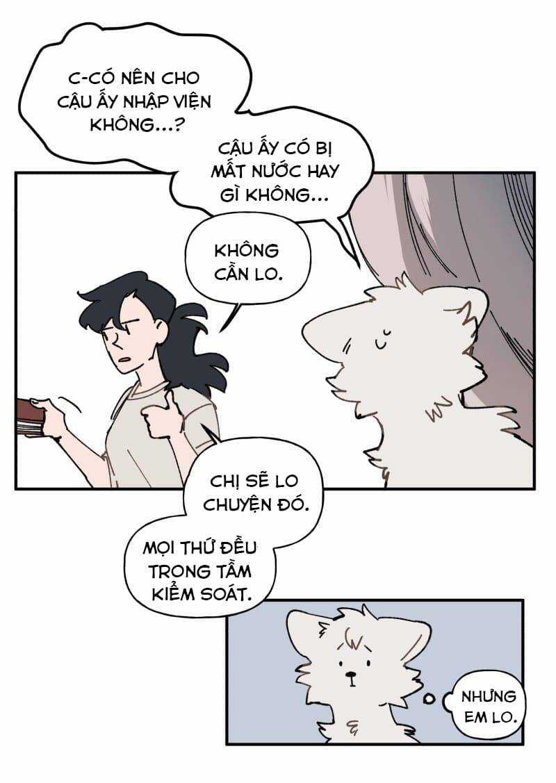 Lumine Chapter 105 trang 14