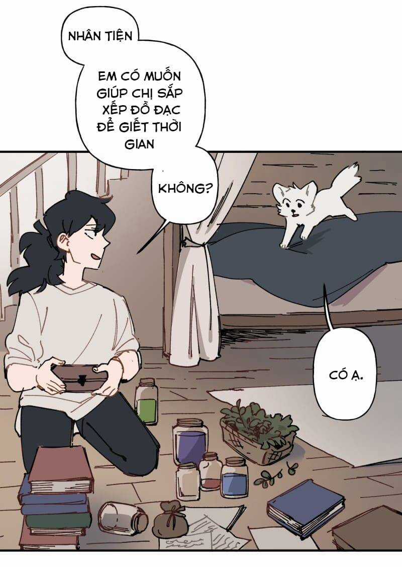 Lumine Chapter 105 trang 15