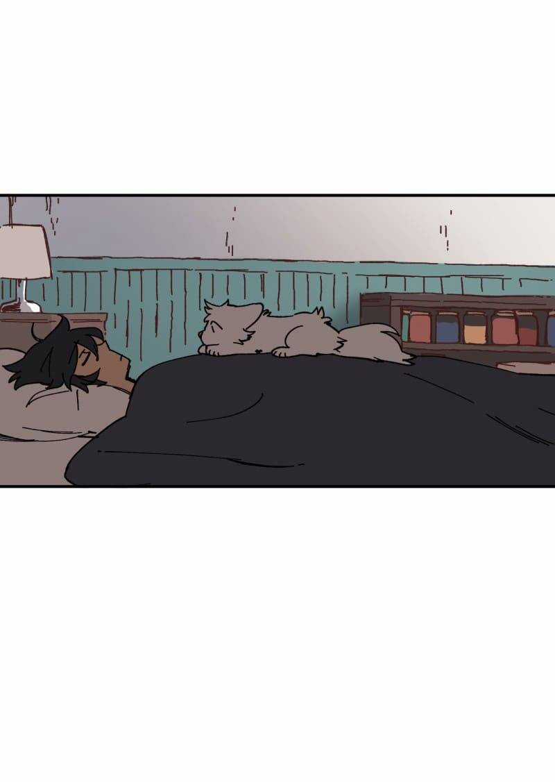 Lumine Chapter 105 trang 4